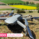 Imagen para el artículo titulado Probamos el Mavic Air 2: este sí es el dron que andaba buscando